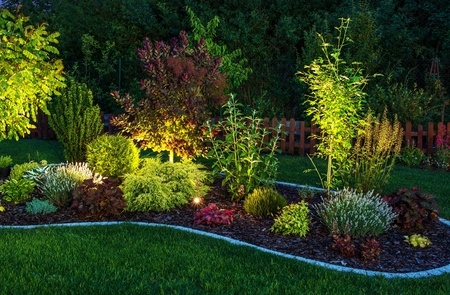 A Picture of Garden Lighting.